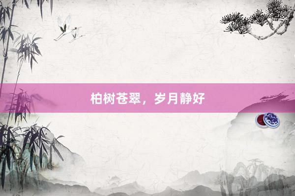 柏树苍翠，岁月静好
