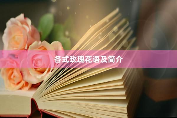 各式玫瑰花语及简介