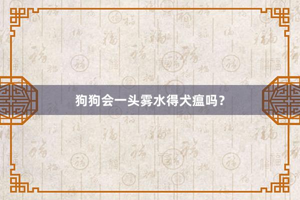 狗狗会一头雾水得犬瘟吗？